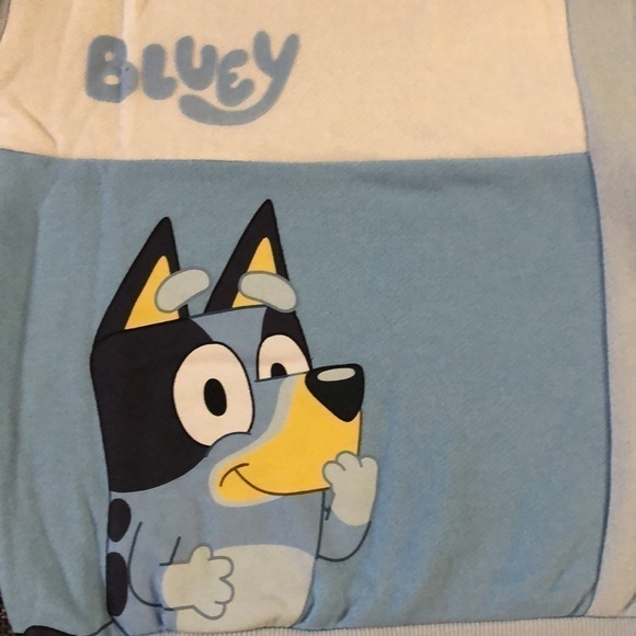BLUEY Moose Toddler Boy Bluey Sweatshirt Pullover Sweatpants Set Blue 5T - Picture 9 of 16